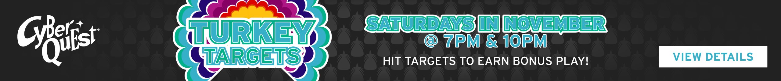 Turkey Targets at Cyber Quest