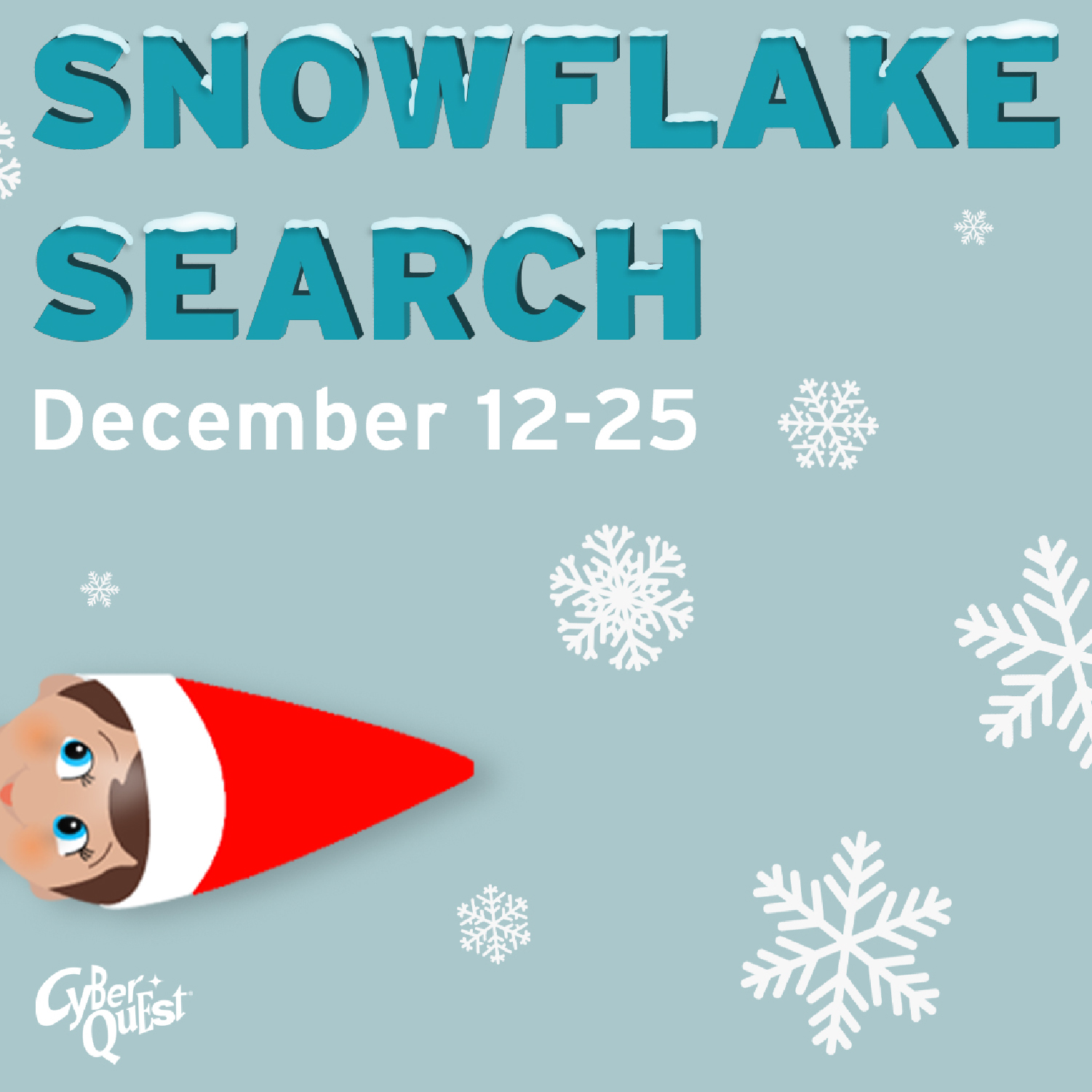 Snowflake Search at Cyber Quest