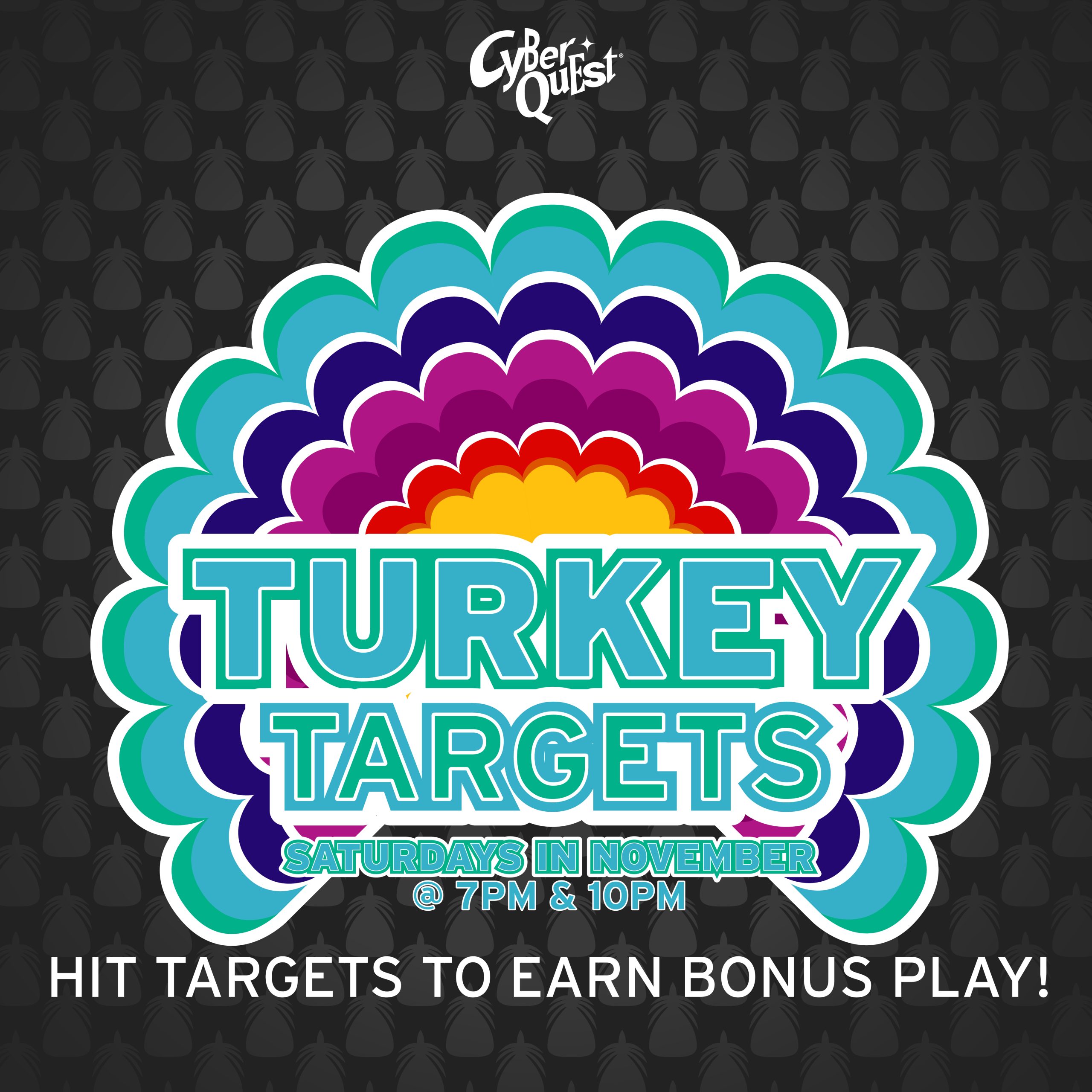 Turkey Targets at Cyber Quest