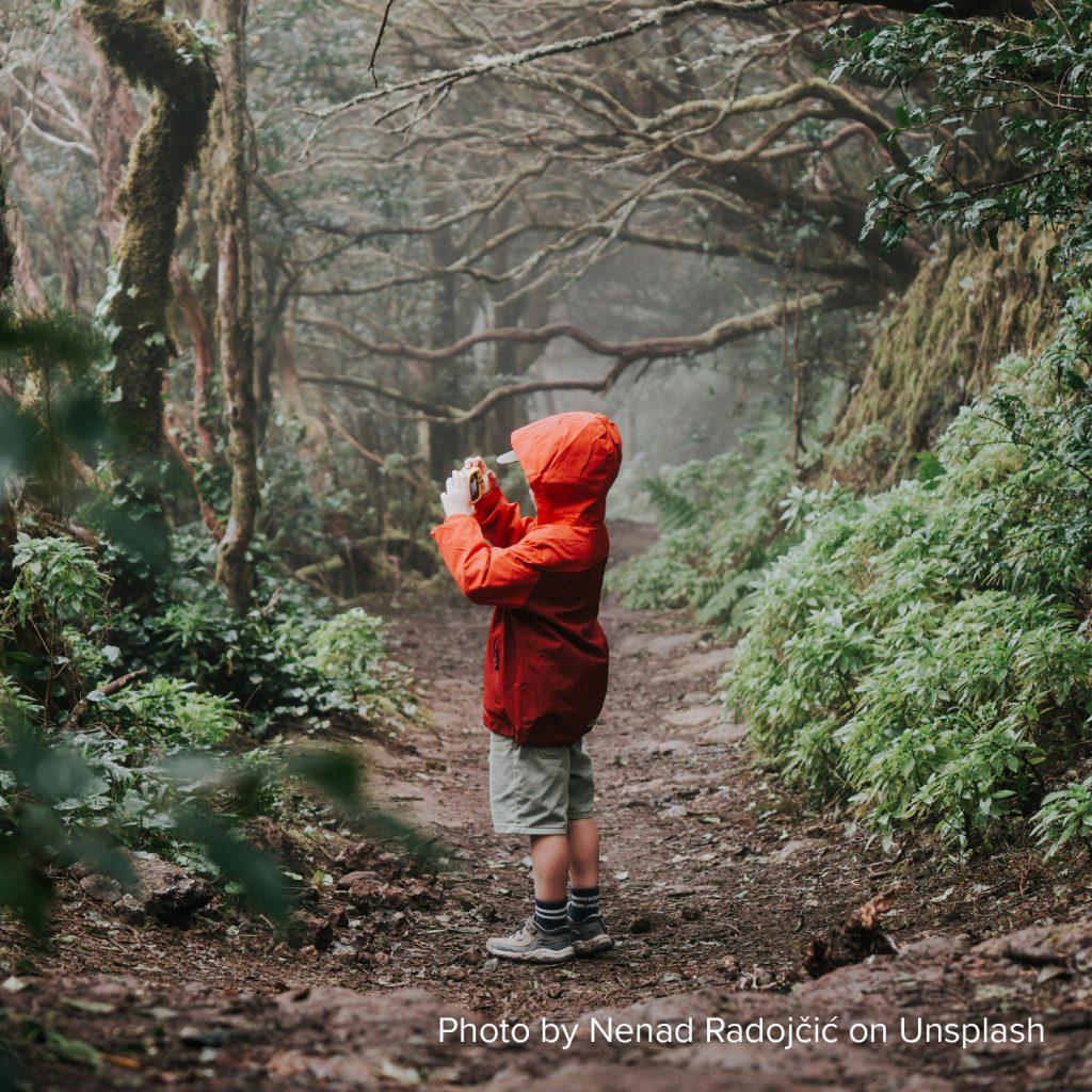 A child in a bright red raincoat stands on a misty forest path, taking a photo. The scene is lush, with green foliage and twisted tree branches.
