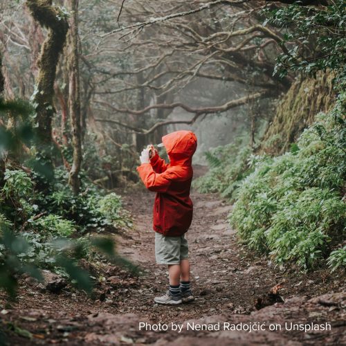 A child in a bright red raincoat stands on a misty forest path, taking a photo. The scene is lush, with green foliage and twisted tree branches.